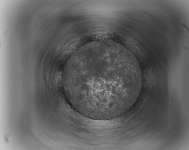 X0000102300034200808011550