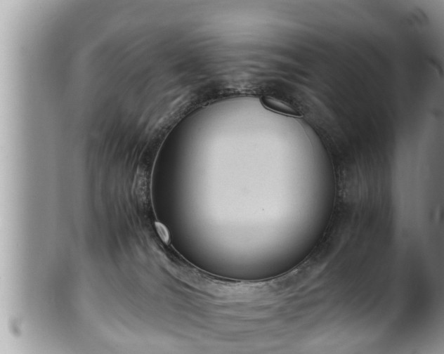 X0000102300036200808011550