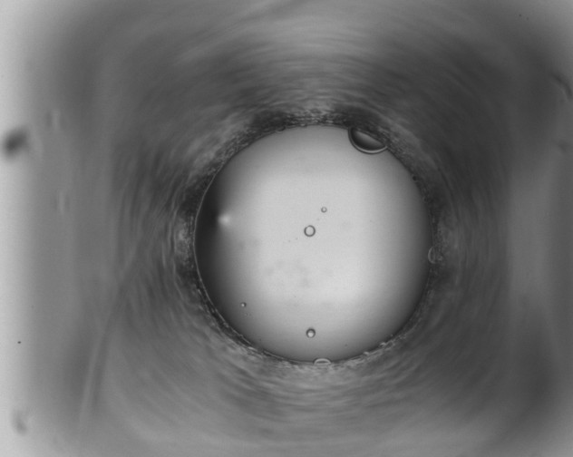 X0000102300037200808011550