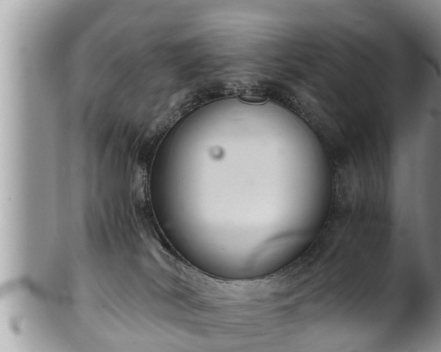 X0000102300038200808011550