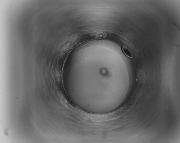 X0000102300039200808011550