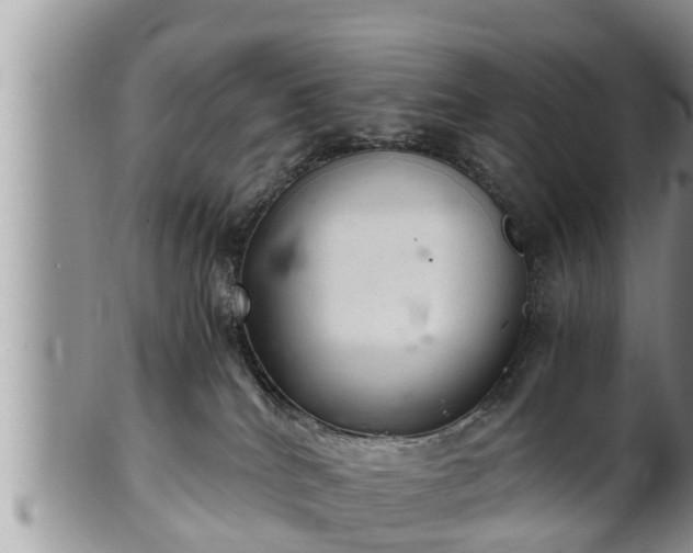 X0000102300040200808011550