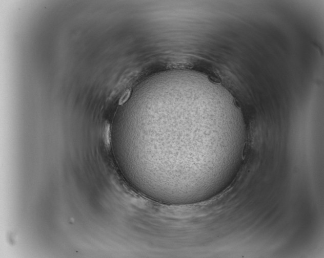 X0000102300041200808011550