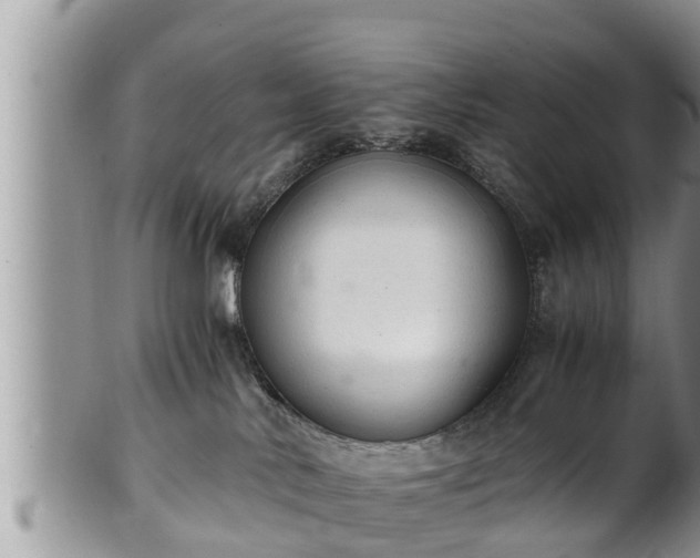 X0000102300042200808011550