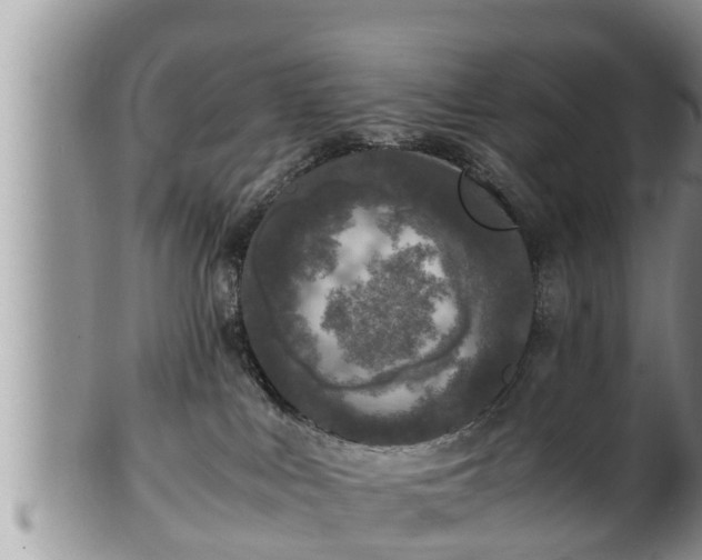 X0000102300043200808011550