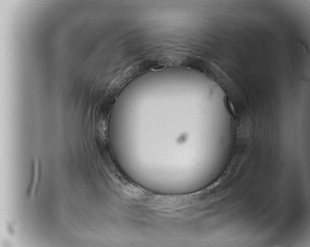 X0000102300045200808011550