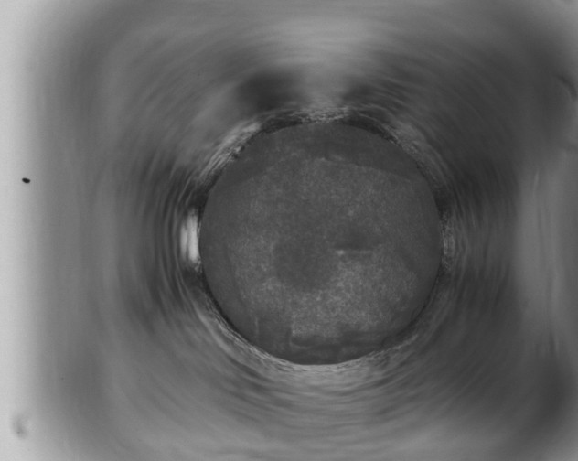 X0000102300046200808011550