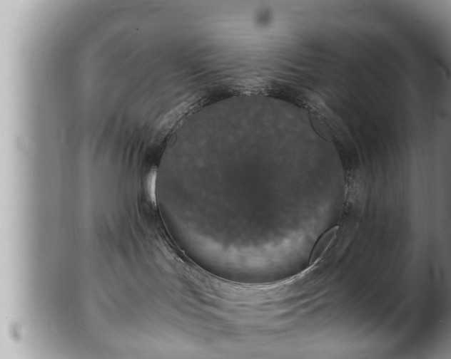 X0000102300047200808011550