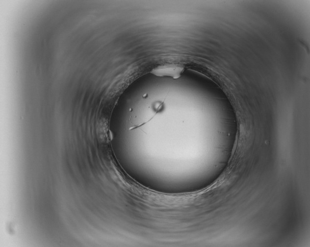 X0000102300048200808011550