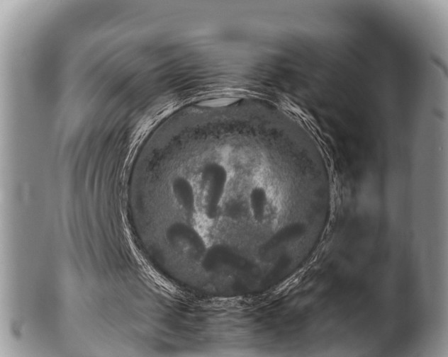 X0000102300049200808011549