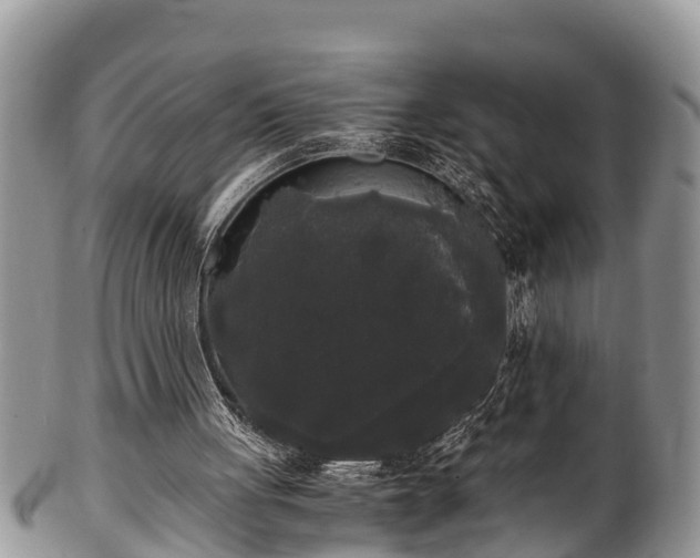 X0000102300051200808011549