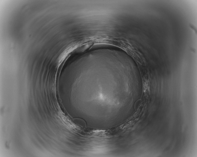 X0000102300052200808011549