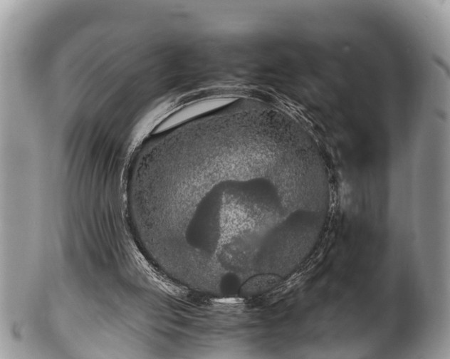 X0000102300053200808011549