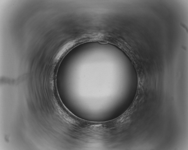 X0000102300054200808011549