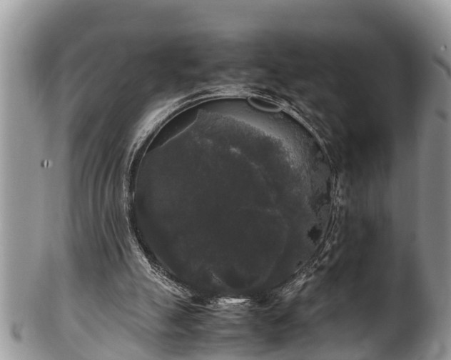 X0000102300055200808011549