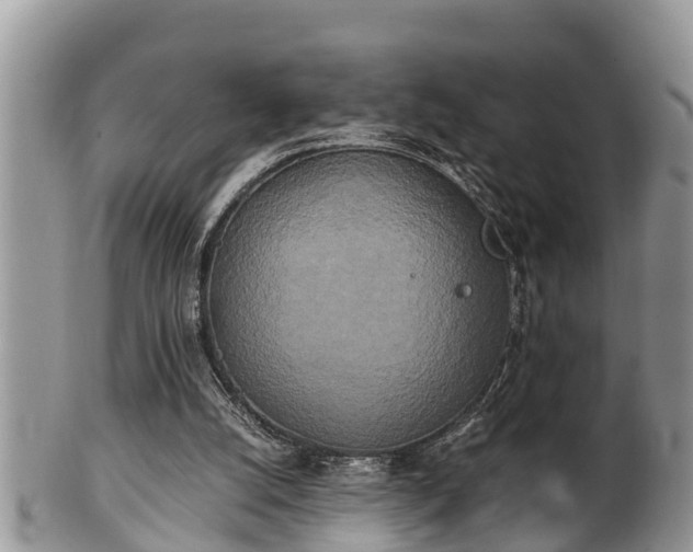 X0000102300056200808011549