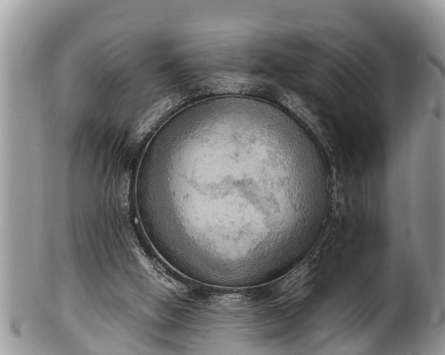 X0000102300058200808011549