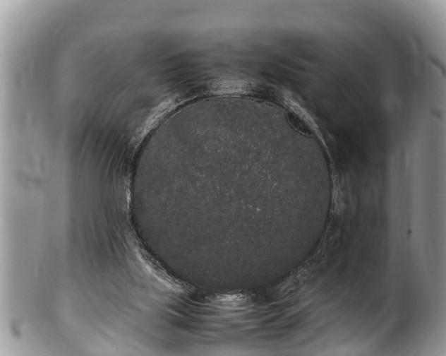 X0000102300059200808011549