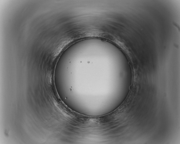 X0000102300060200808011549