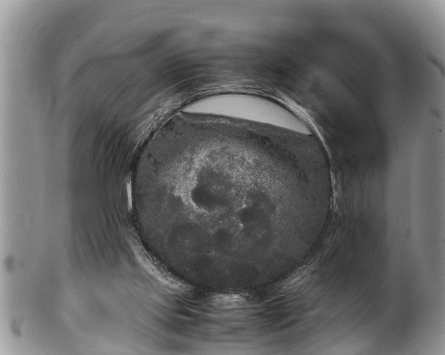 X0000102300061200808011549