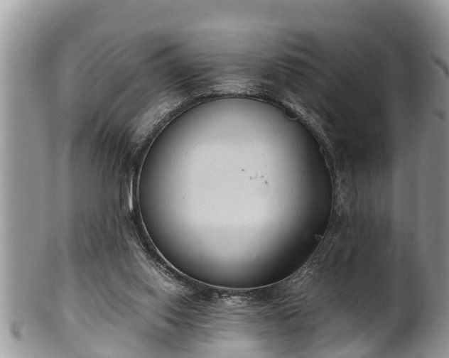 X0000102300062200808011549