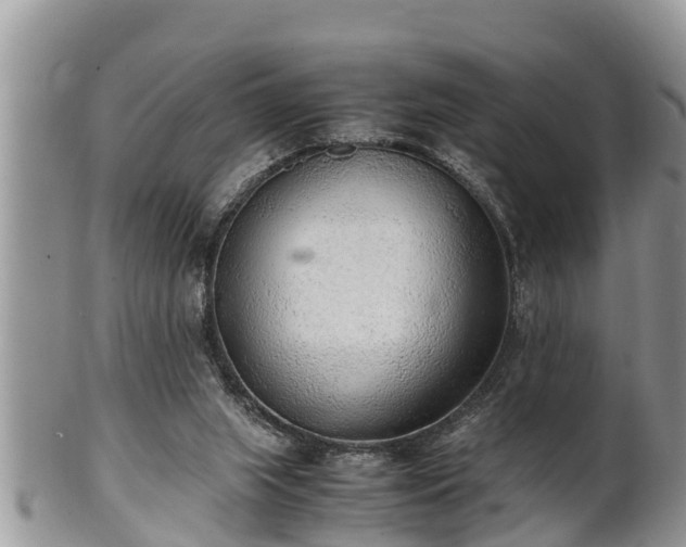 X0000102300063200808011549