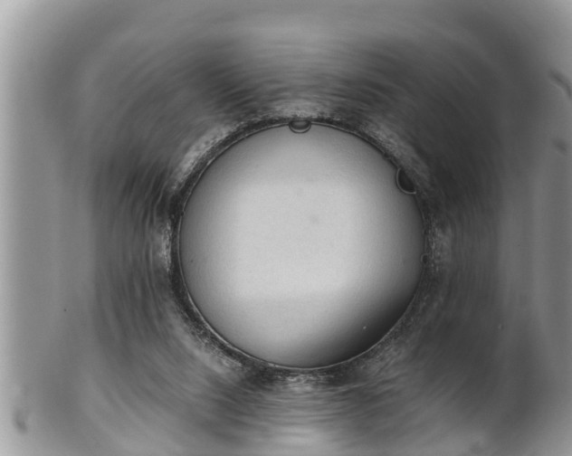 X0000102300064200808011549