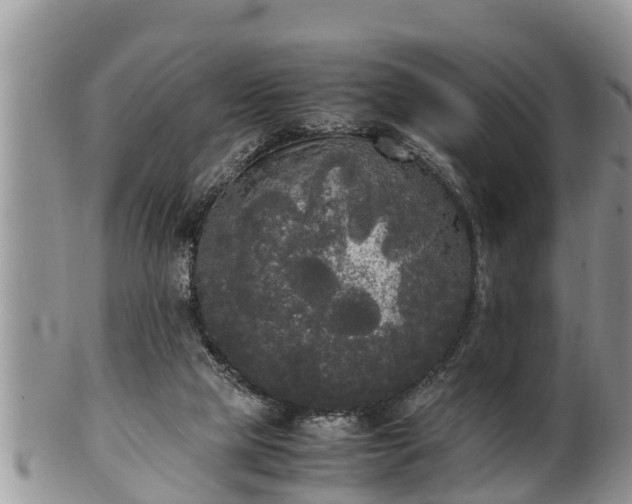 X0000102300065200808011549