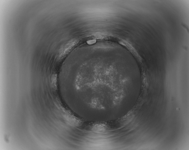 X0000102300066200808011549