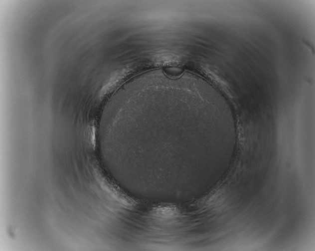 X0000102300067200808011549