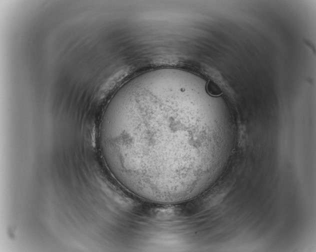 X0000102300068200808011549