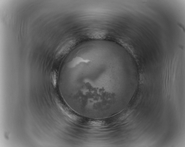 X0000102300069200808011549