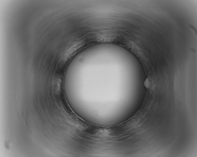 X0000102300071200808011549