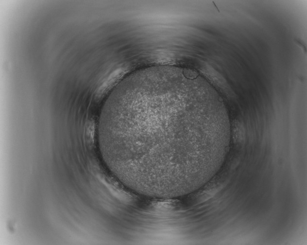 X0000102300072200808011549