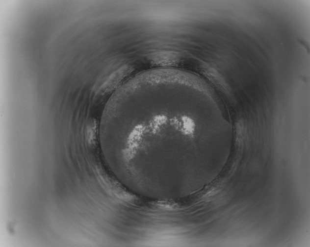 X0000102300073200808011549