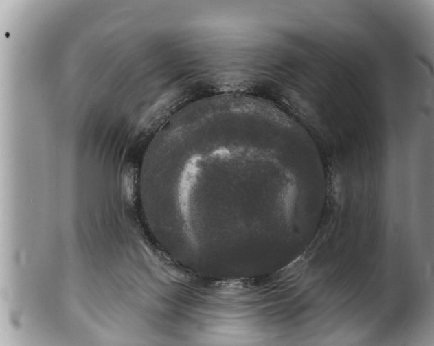 X0000102300074200808011549