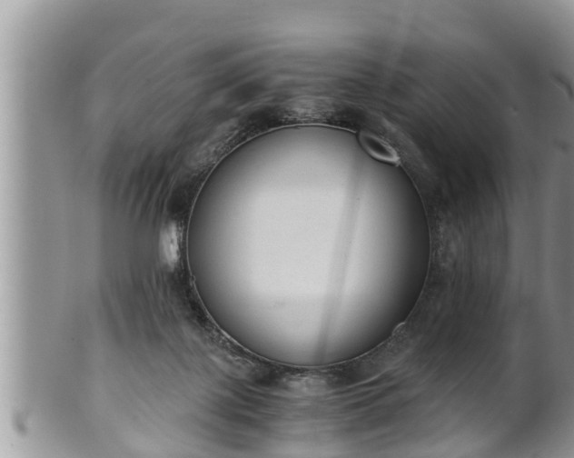 X0000102300075200808011549