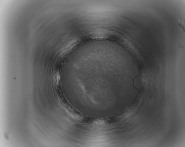 X0000102300076200808011549