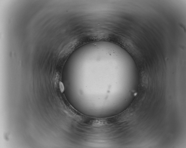 X0000102300077200808011549