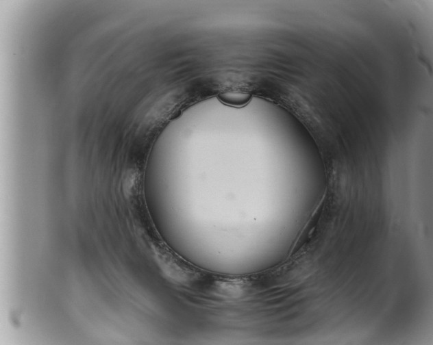 X0000102300079200808011549