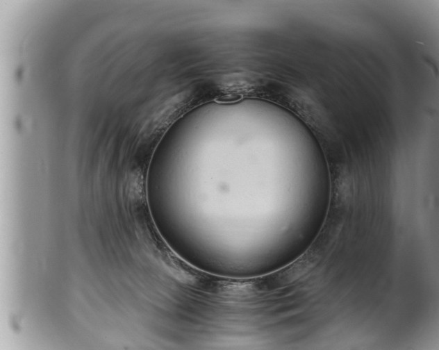 X0000102300081200808011549