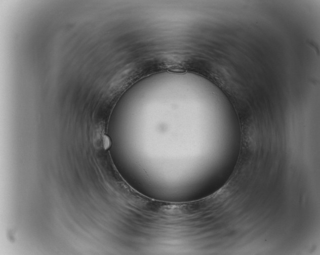 X0000102300082200808011549