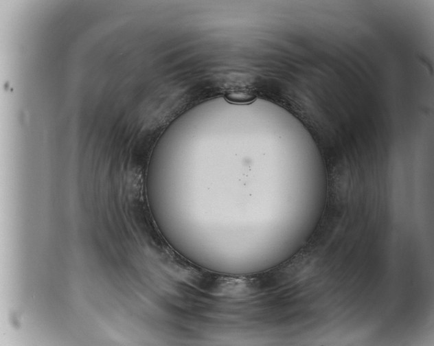 X0000102300083200808011549