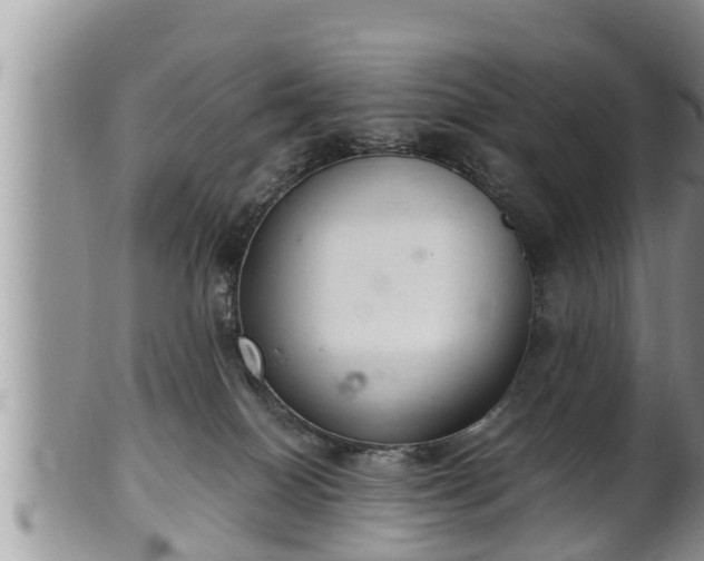 X0000102300086200808011549