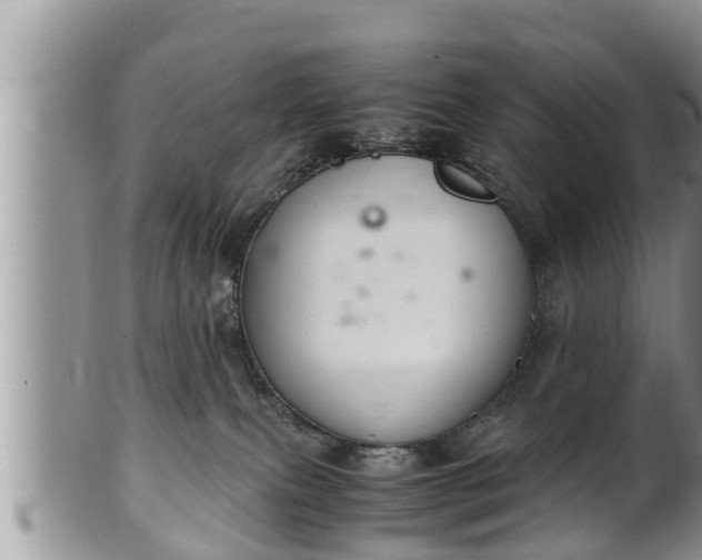 X0000102300087200808011549