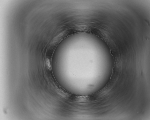 X0000102300089200808011549