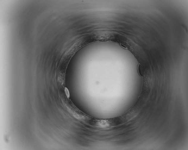 X0000102300091200808011549