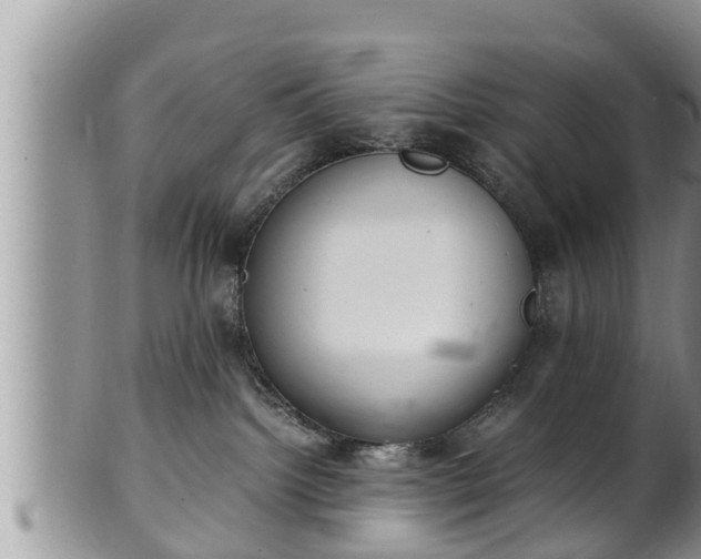 X0000102300092200808011549