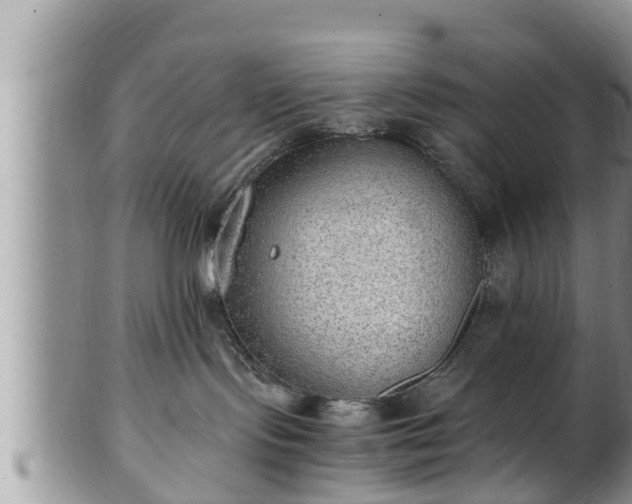 X0000102300095200808011550