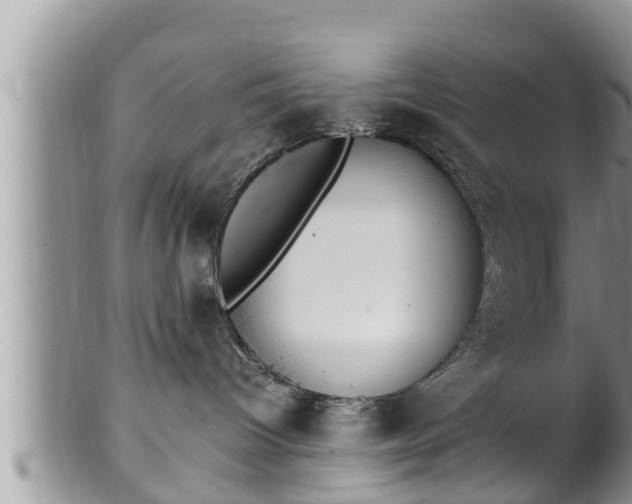 X0000102300096200808011550